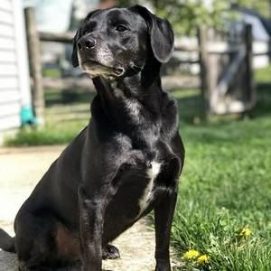 Meet your Posher, Jackie